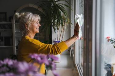 When is the best time to clean windows: considerations and superstitions