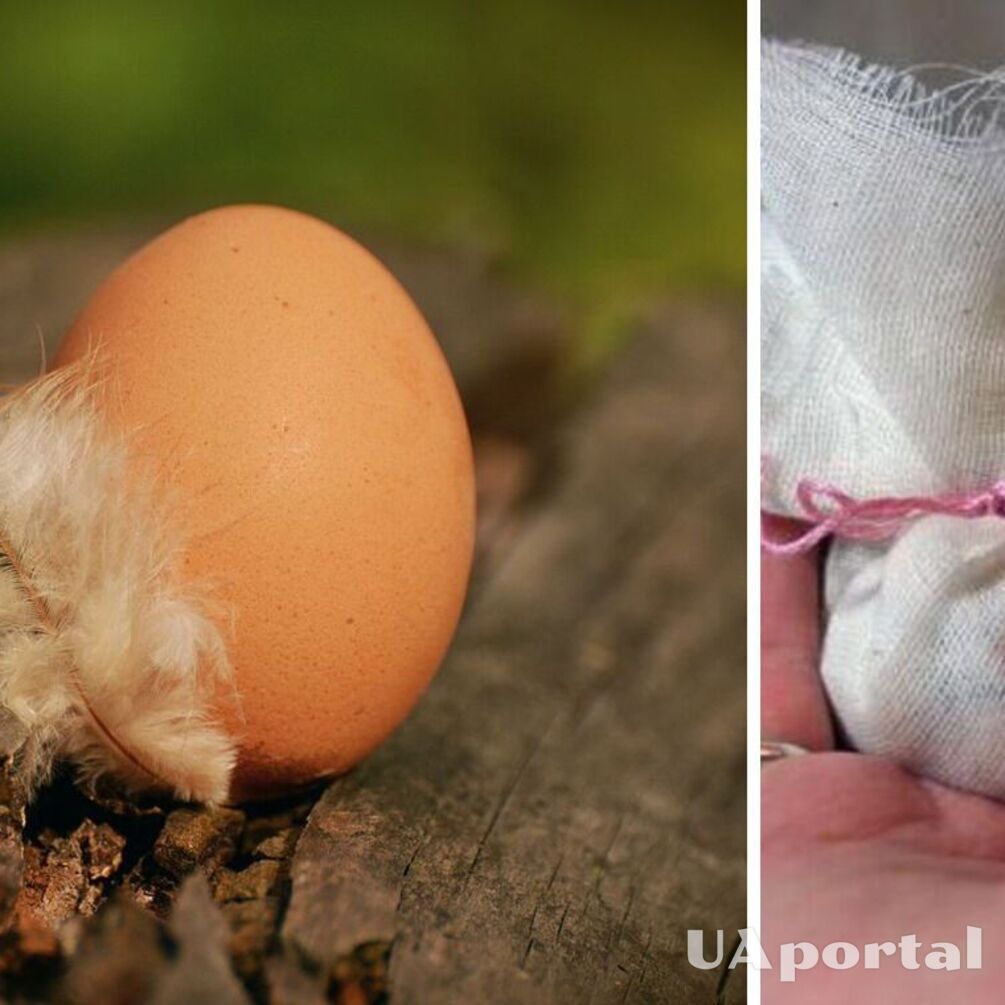 Что делать, если нашли под домом яйцо: как избавиться от подклада