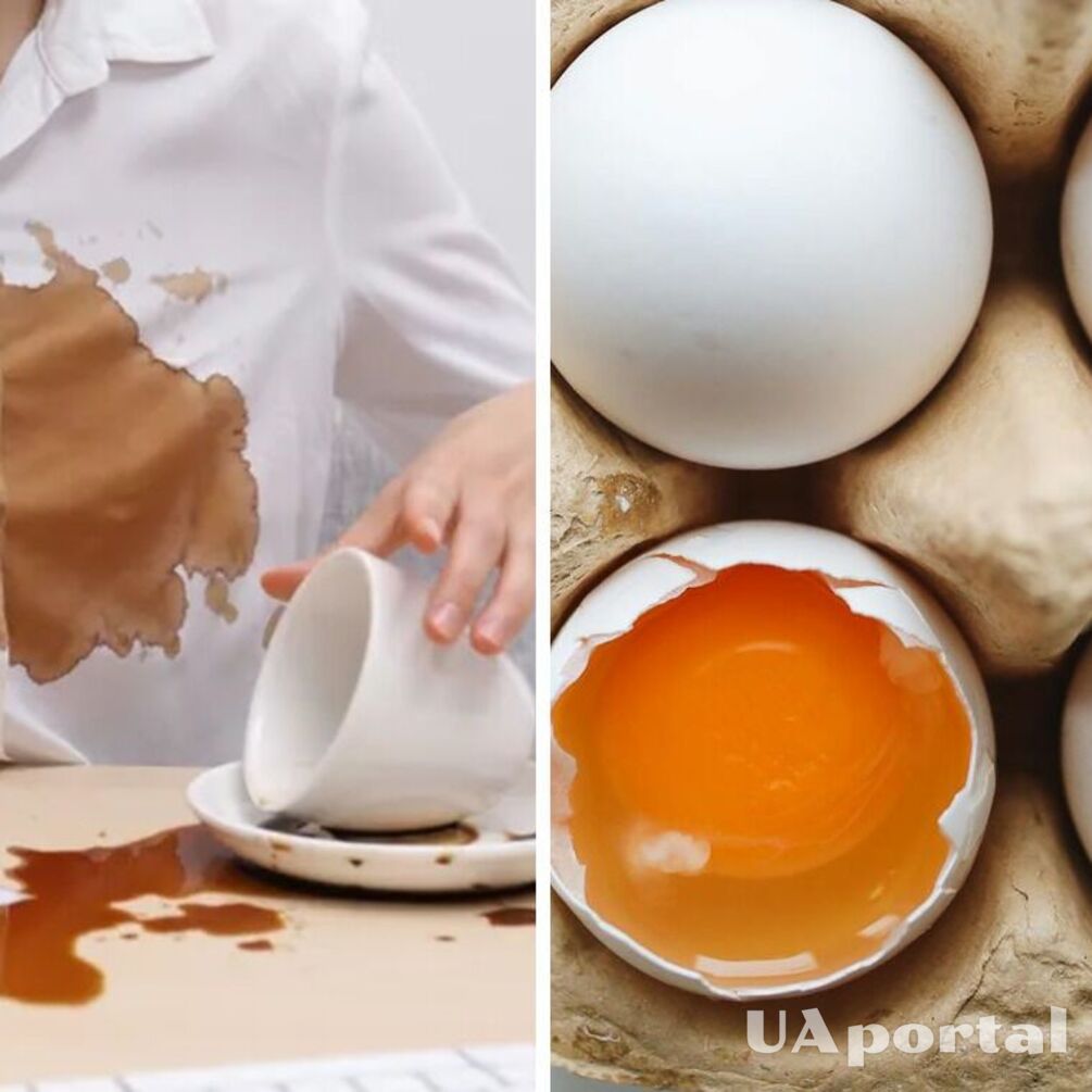 Допоможе жовток з яйця: плями від кави на одязі більше не будуть проблемою