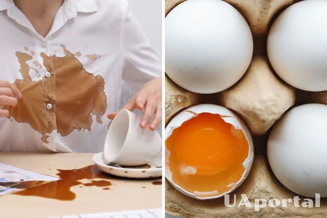 Допоможе жовток з яйця: плями від кави на одязі більше не будуть проблемою