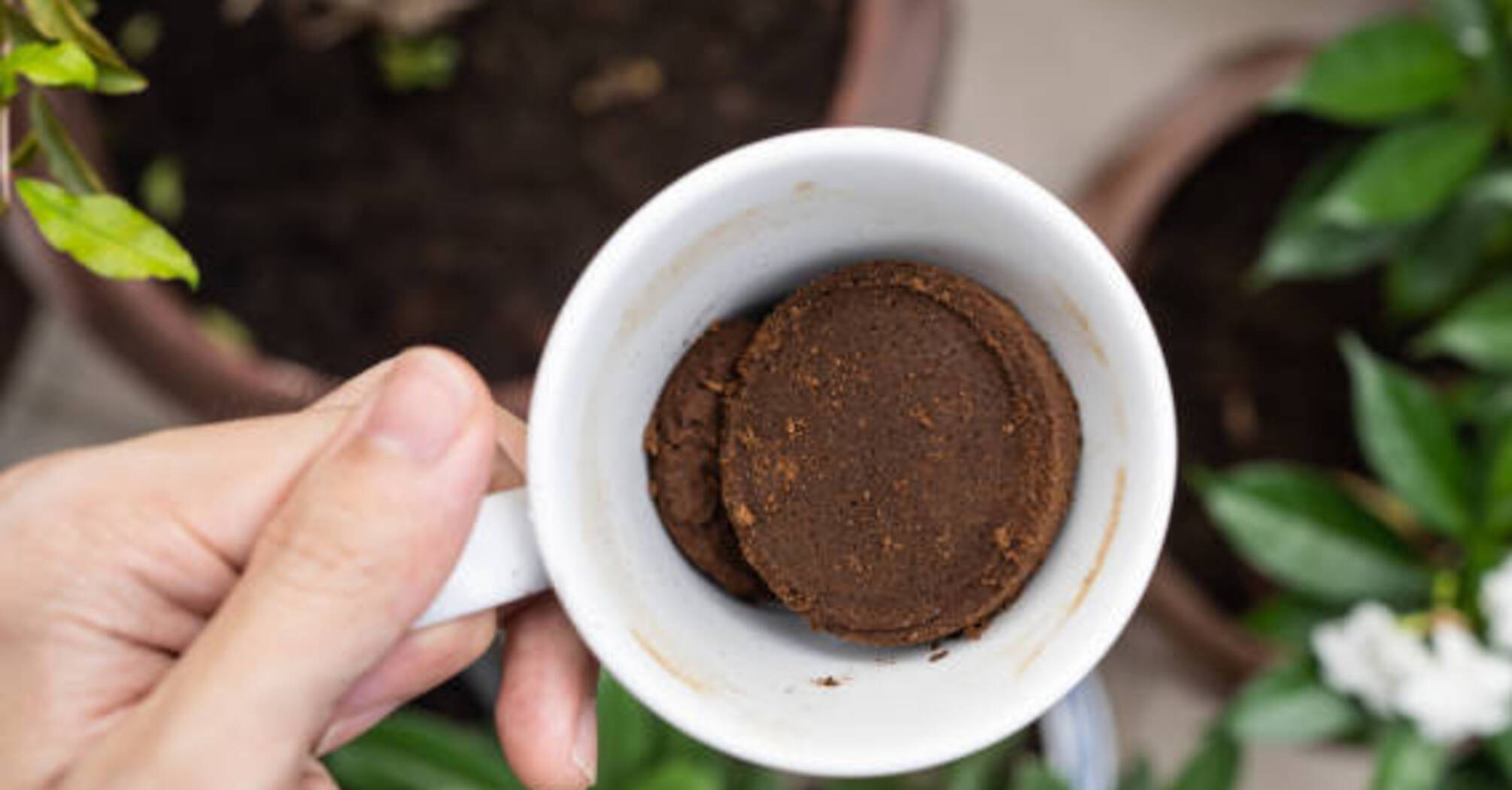 Не викидайте кавову гущу: 5 порад для використання в побуті 
