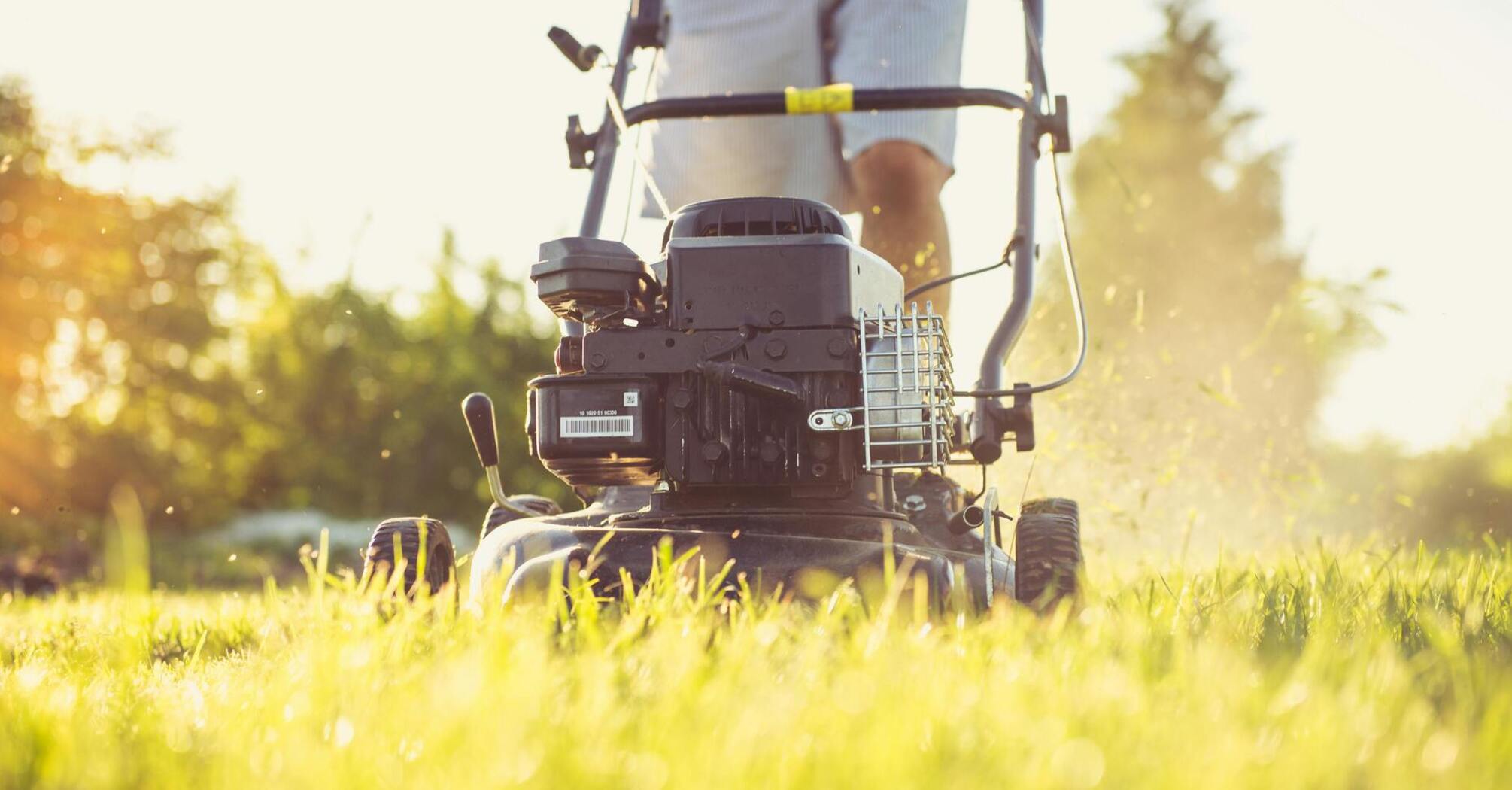 Comparison of electric and gasoline lawn mowers