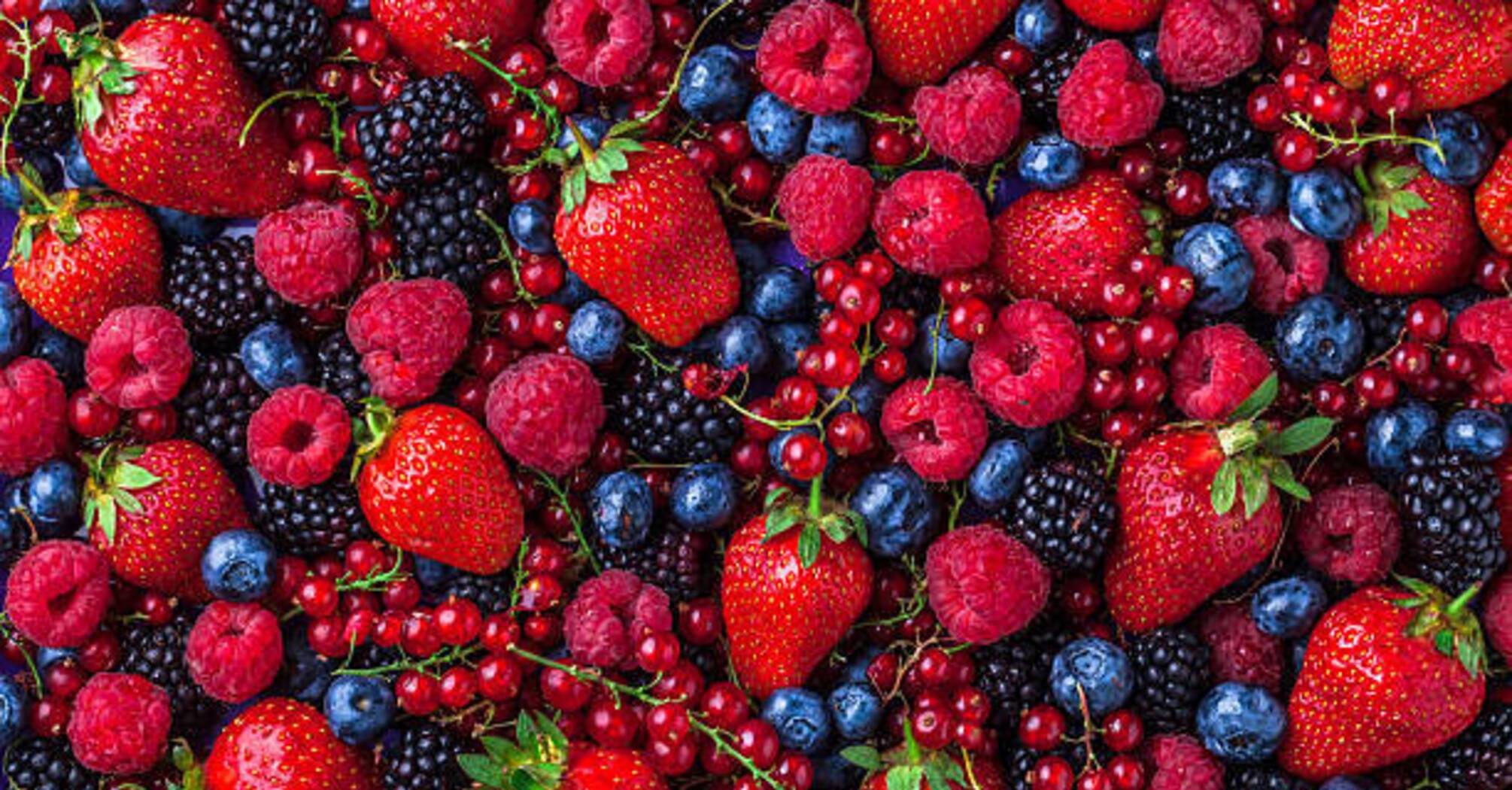 Выращиванию фруктов и ягод
