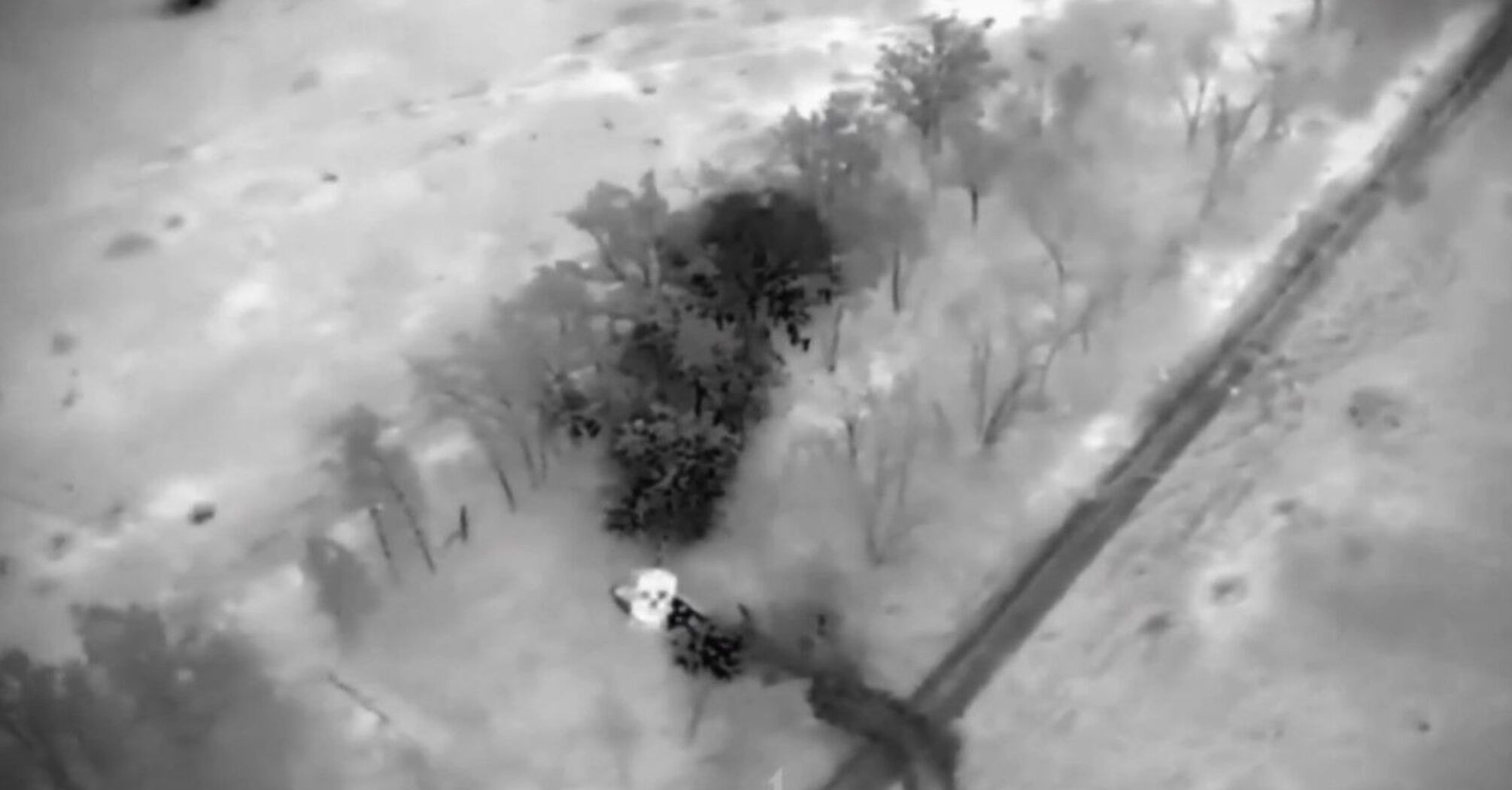 Танк Leopard расстреливает пехоту оккупантов: зажигательное видео