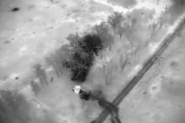 Танк Leopard розстрілює піхоту окупантів: запальне відео