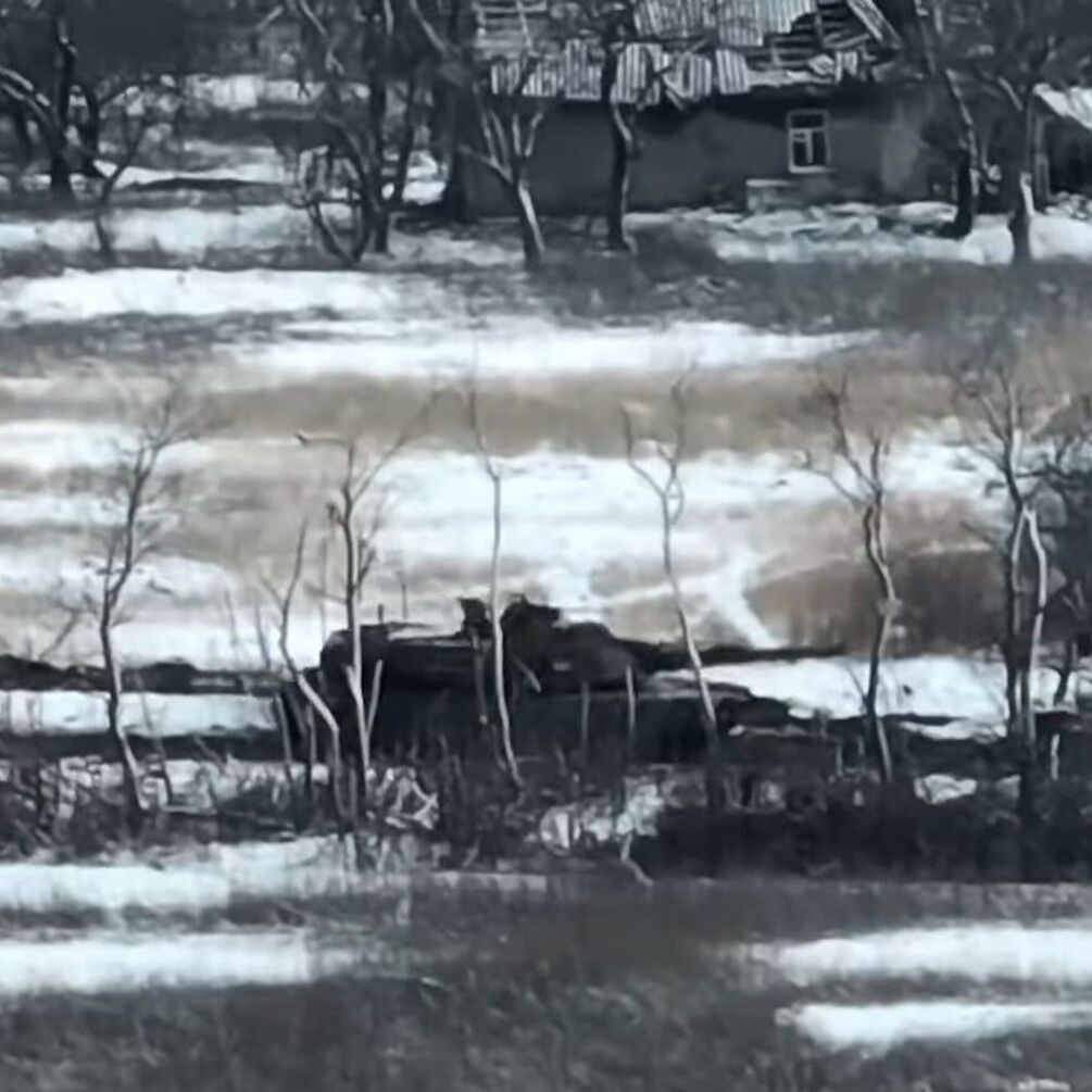 З’явилося бойове відео танка Abrams в Україні: потужні кадри