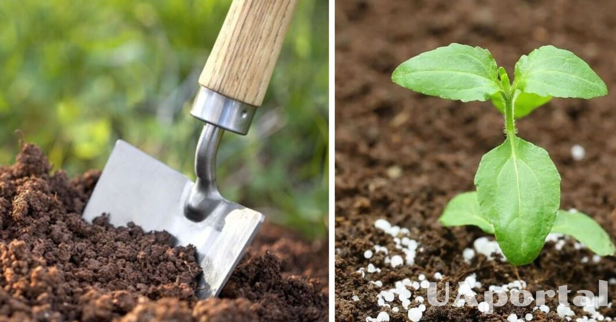 Как увеличить плодородие почвы с помощью извести