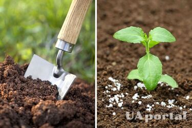 How to increase soil fertility with lime