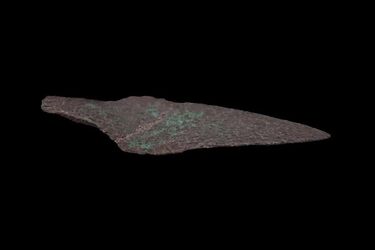 A rare 4000-year-old copper dagger originating from Ukraine is found in Poland (photo)