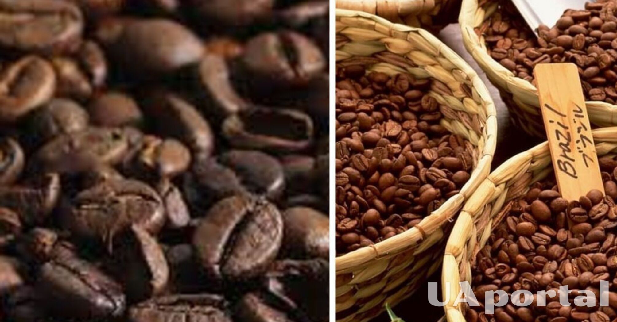 Як обрати якісну каву: 3 ознаки, на які варто звернути увагу 