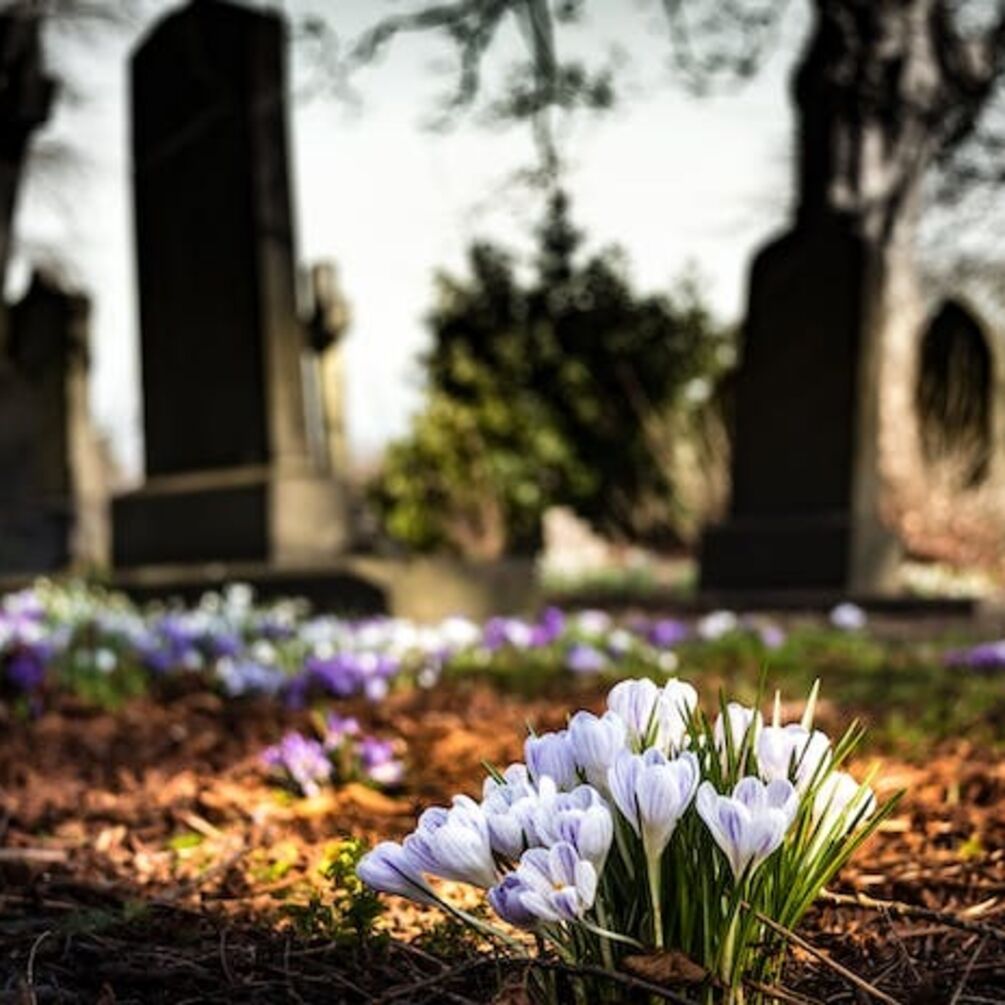 Слова на прощання: як уникнути невдач, виходячи з кладовища