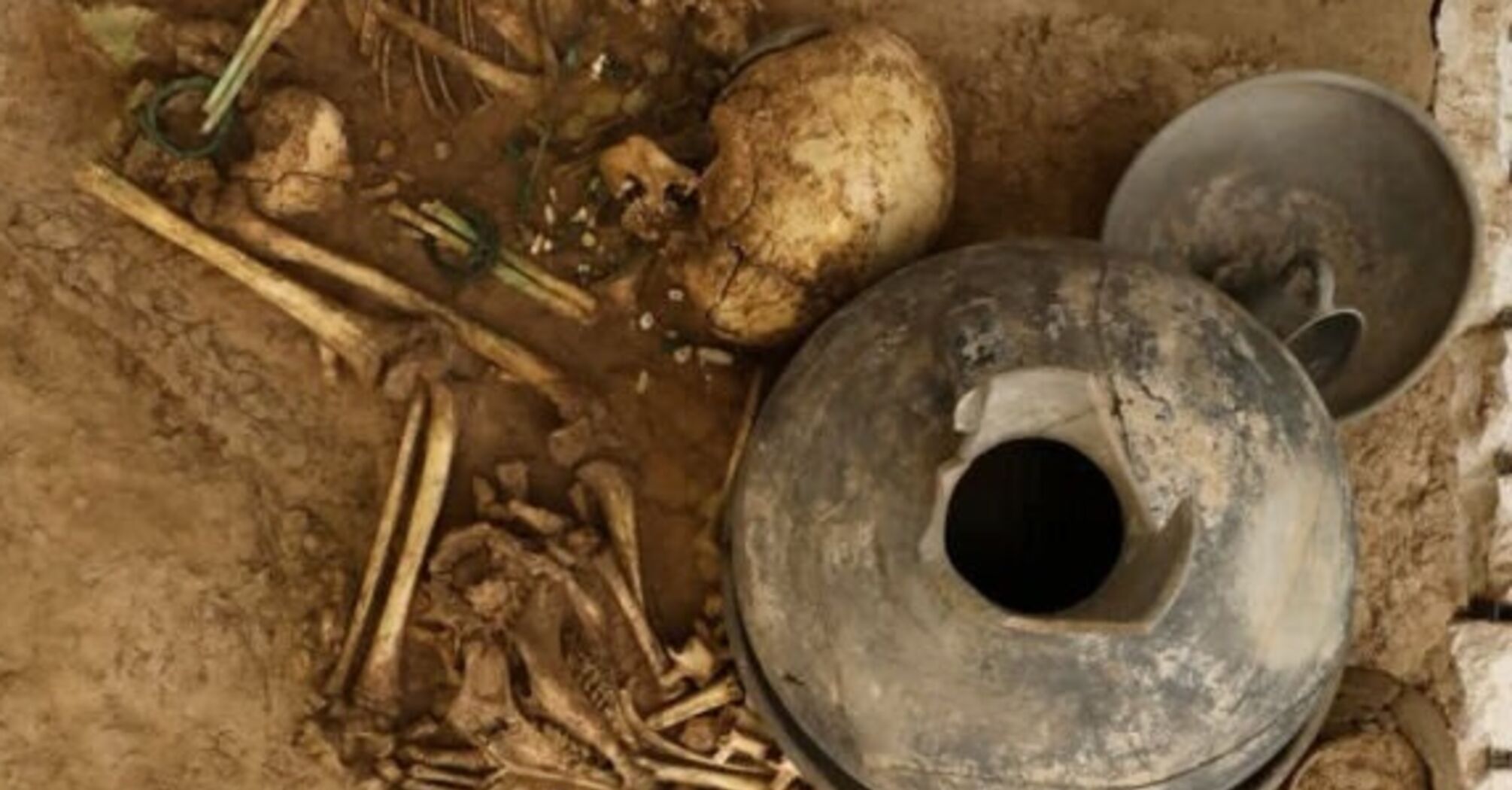 3000-year-old skeletons of nine children, including babies and embryos, found in Iran (photo)