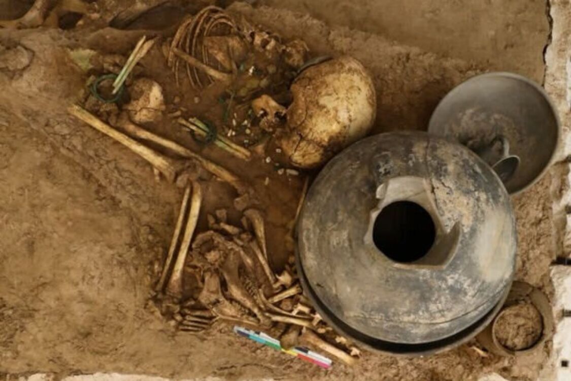 В Иране обнаружили 3000-летние скелеты девяти детей, среди которых были младенцы и эмбрионы (фото)