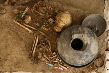 3000-year-old skeletons of nine children, including babies and embryos, found in Iran (photo)