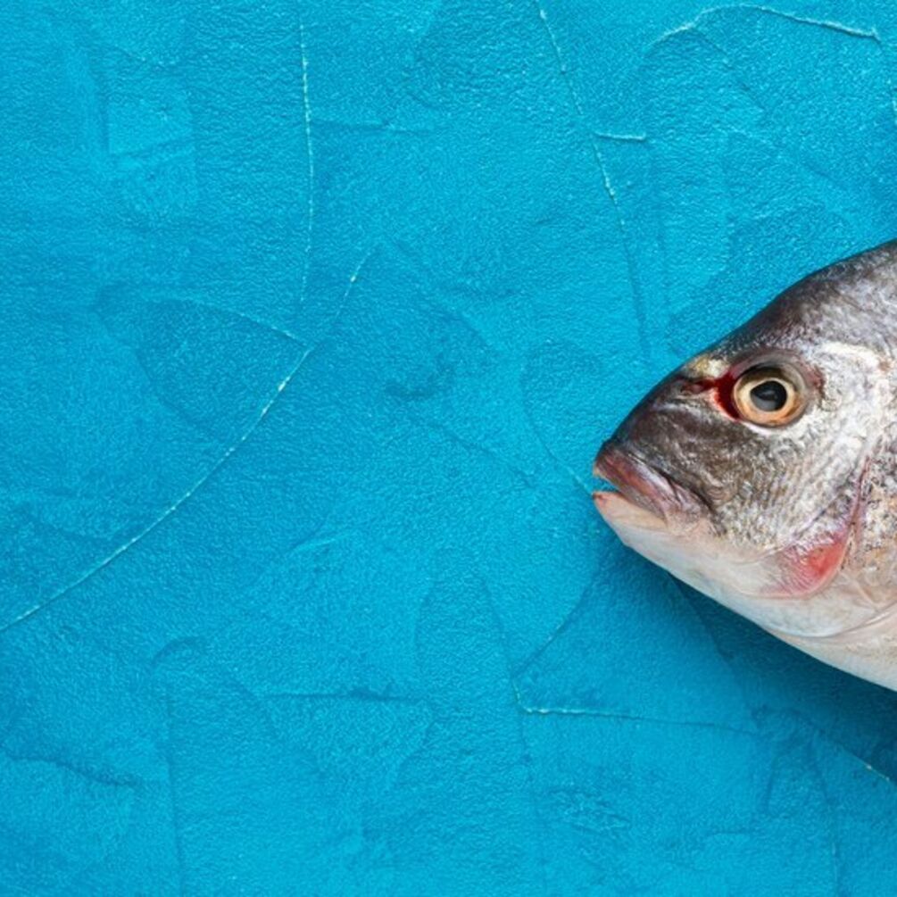 Осторожно ртуть: какие сорта рыбы можно употреблять?