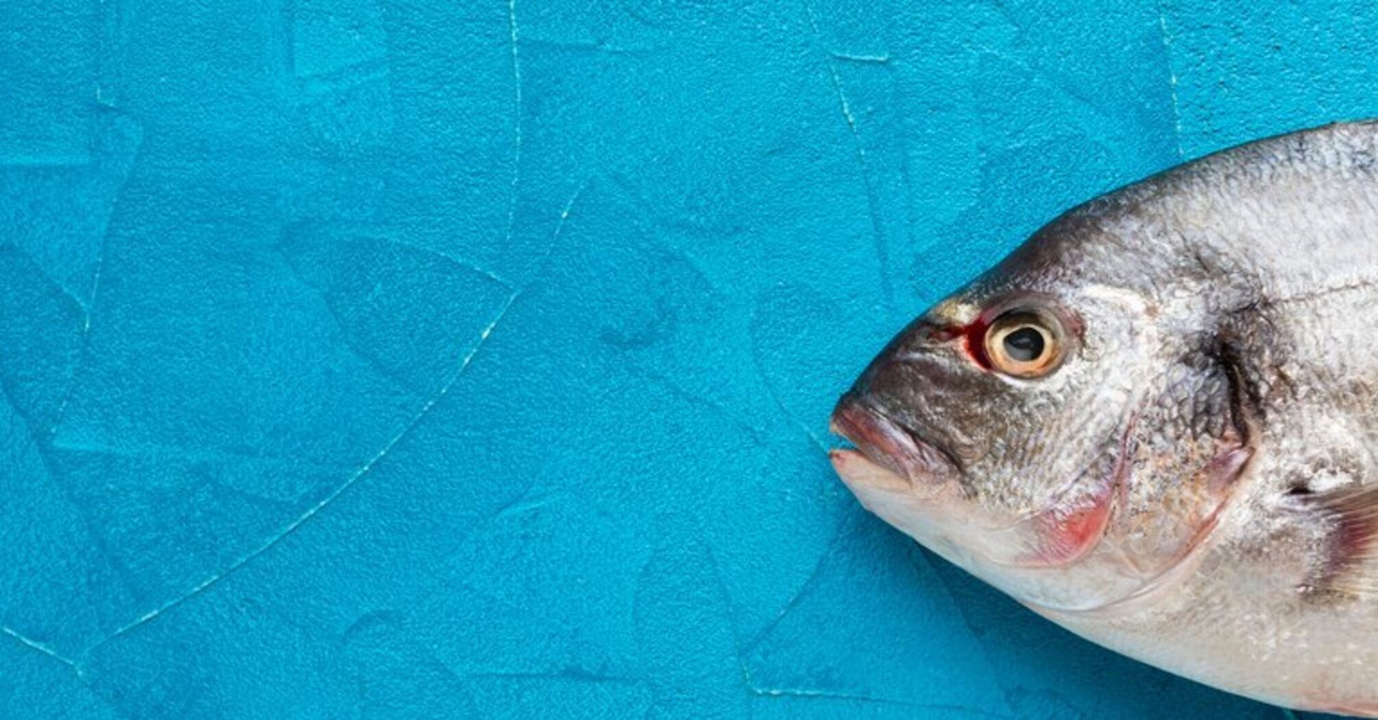Обережно ртуть: які сорти риби можна вживати?