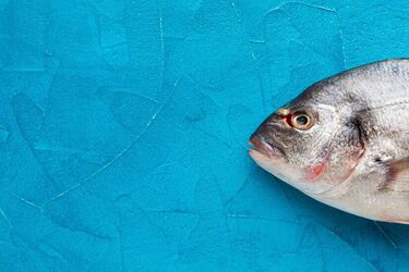 Обережно ртуть: які сорти риби можна вживати?