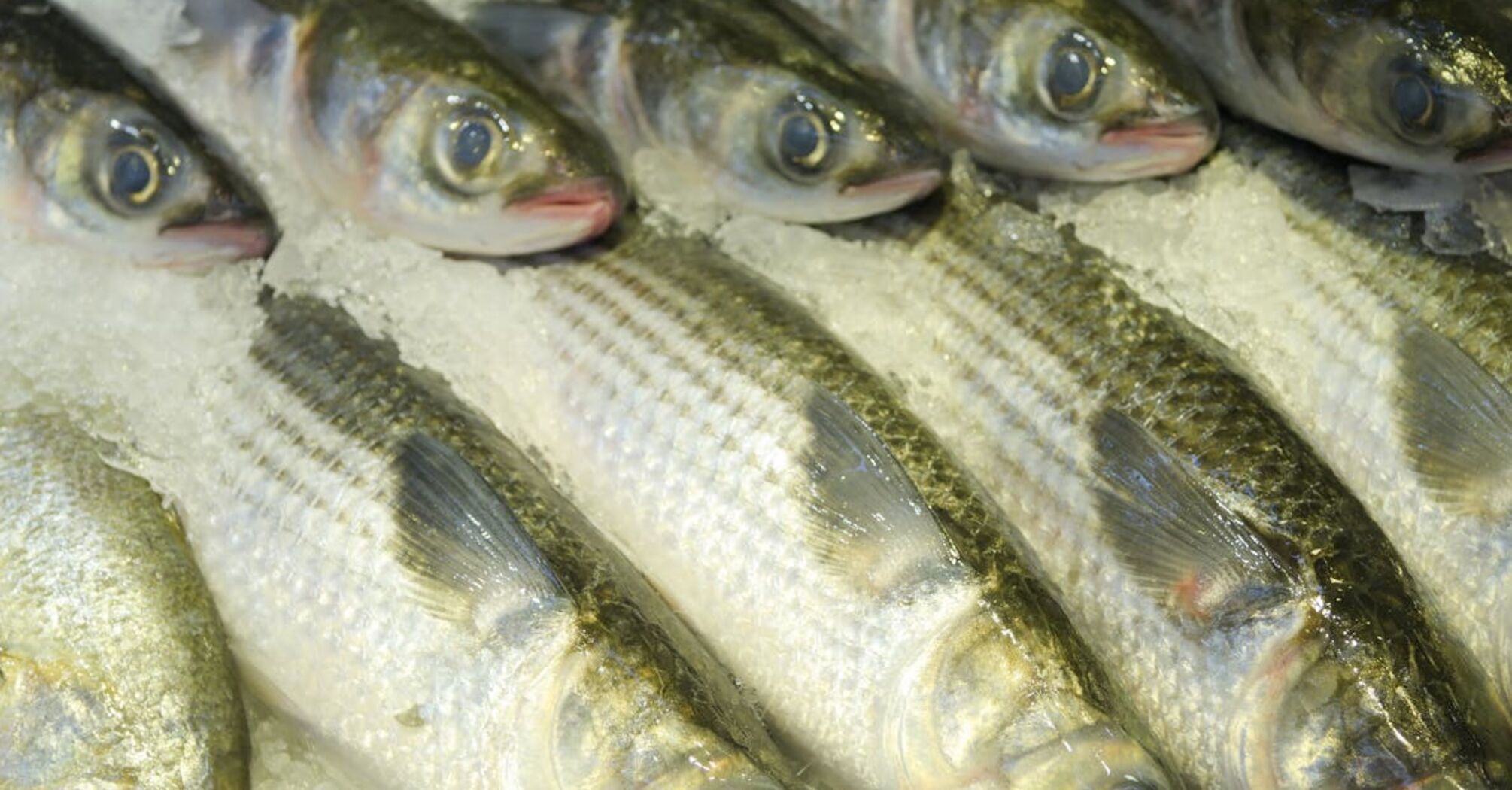 For healthy skin, heart and bones: what fish you should eat more often