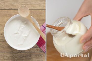 Чи можна їсти грецький йогурт щодня