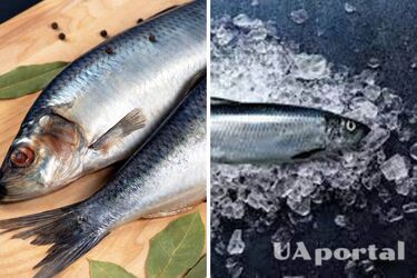 Будет таять во рту: в чем следует вымочить селедку, чтобы стала нежнее