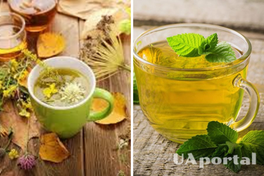 Разгоняют метаболизм и сжигают жир: топ травяных чаев, которые следует пить на диете