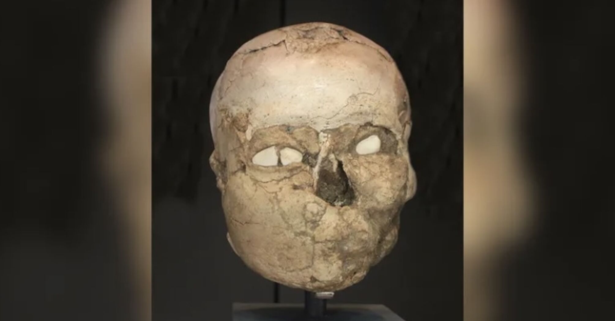 На Близькому Сході знайшли 'гіпсові черепи' віком 9000 років, призначення яких досі лишається невідомим