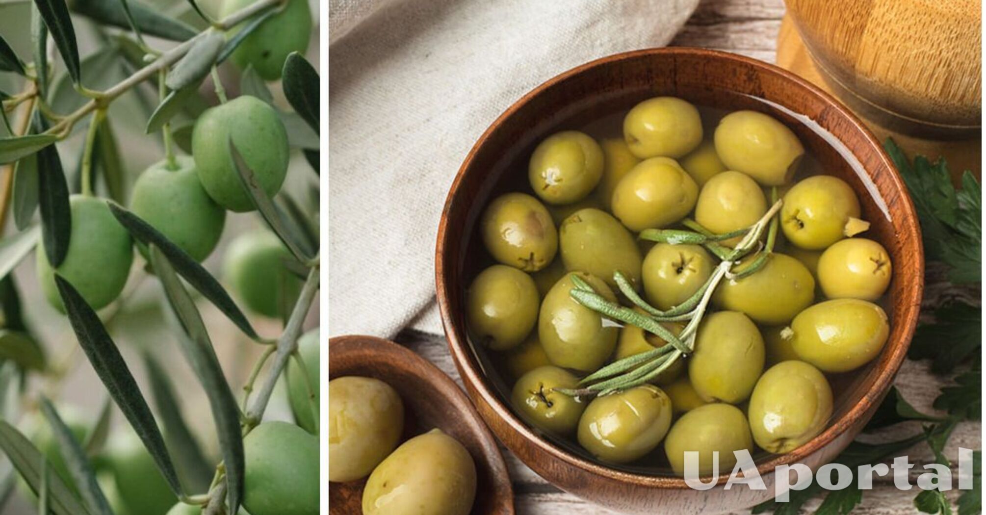 What happens if you eat olives every day