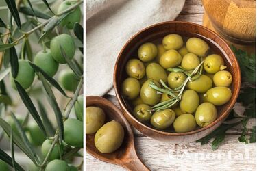 What happens if you eat olives every day