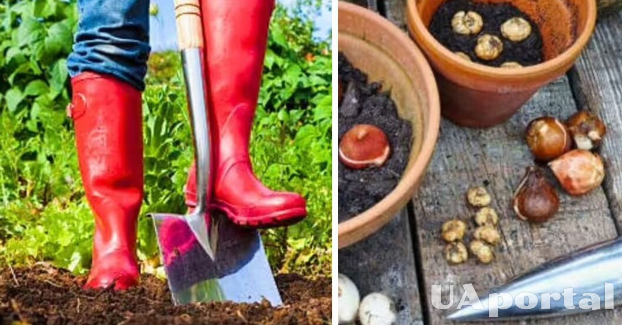 Do not lose time: gardeners advise to carry out these works in February, so that in the spring there will be no problems