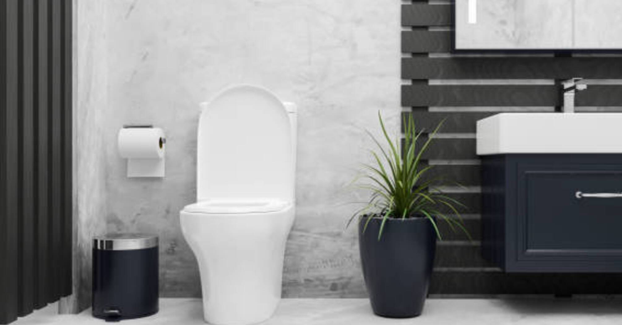 How to clean the toilet to shine: 3 useful life hacks