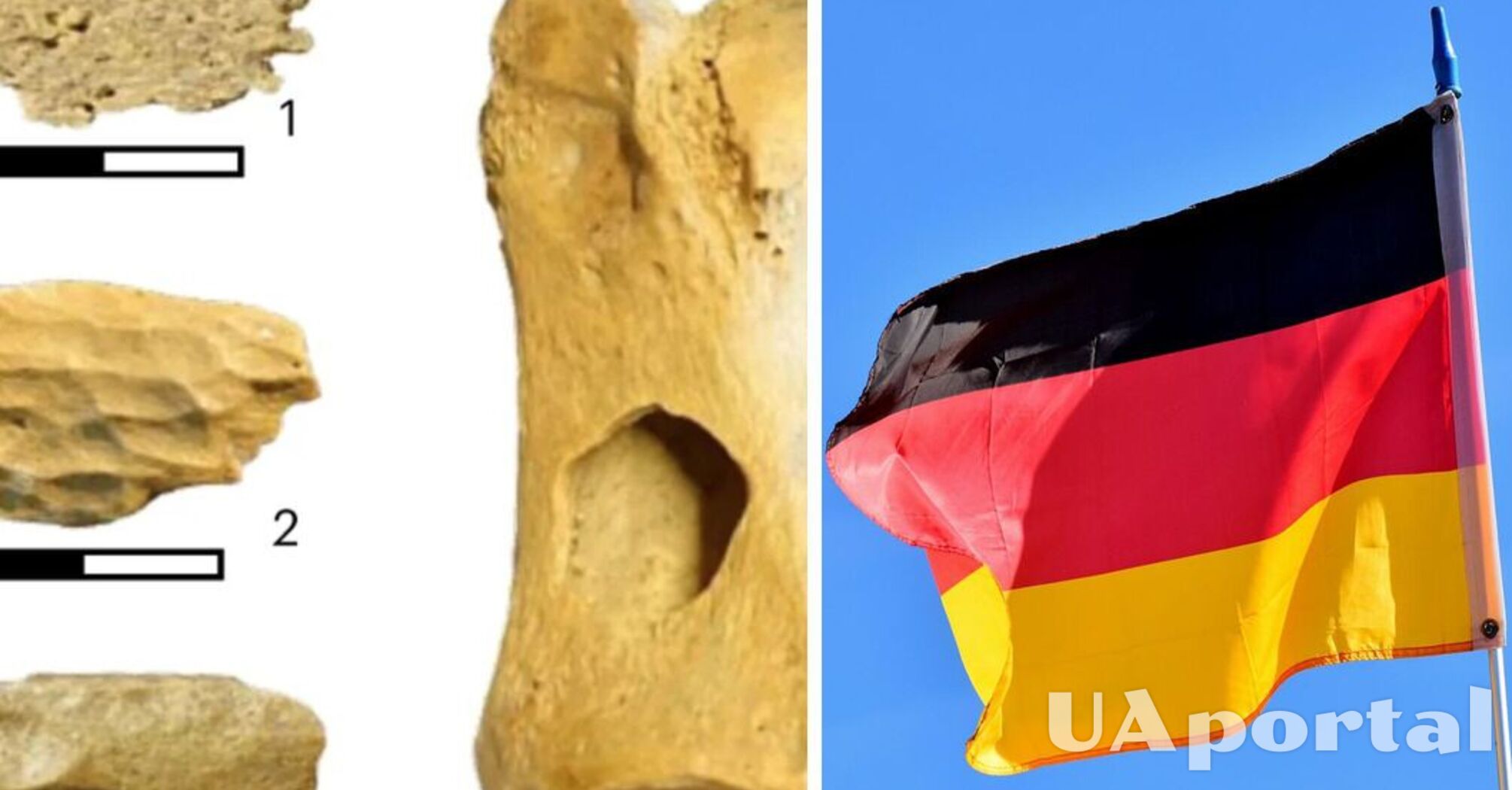 У Німеччині виявили стародавні кістки, які змінюють час прибуття Homo Sapiens в Європу