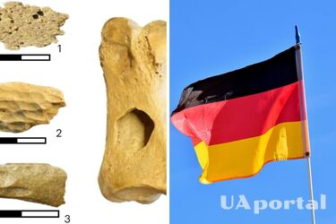 В Германии обнаружили древние кости, меняющие время прибытия Homo Sapiens в Европу
