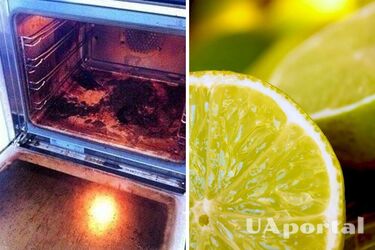 Прибиральниця пояснила, як дешево відмити духовку до блиску: Потрібен всього один інгредієнт