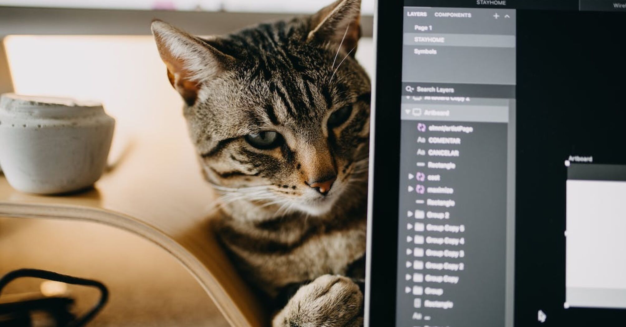 Хотят быть полезными: эксперты сказали, почему кошки любят клавиатуры