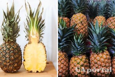 Jak wybrać słodkiego ananasa i prawidłowo go pokroić: przydatne wskazówki