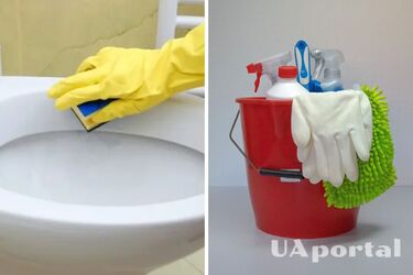 Experts explain how to easily remove yellow stains from a toilet seat