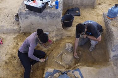 В Бразилии нашли доисторическое поселение со скелетами: находке 9000 лет (фото)