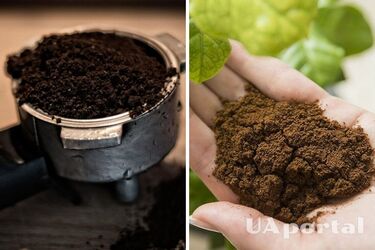 Which plants can be fertilized with coffee grounds