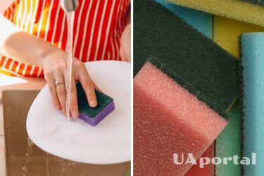 How often do you need to change your dishwashing sponge: you'll be surprised