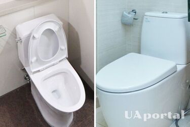 Scientist says whether it is necessary to close the toilet lid when flushing