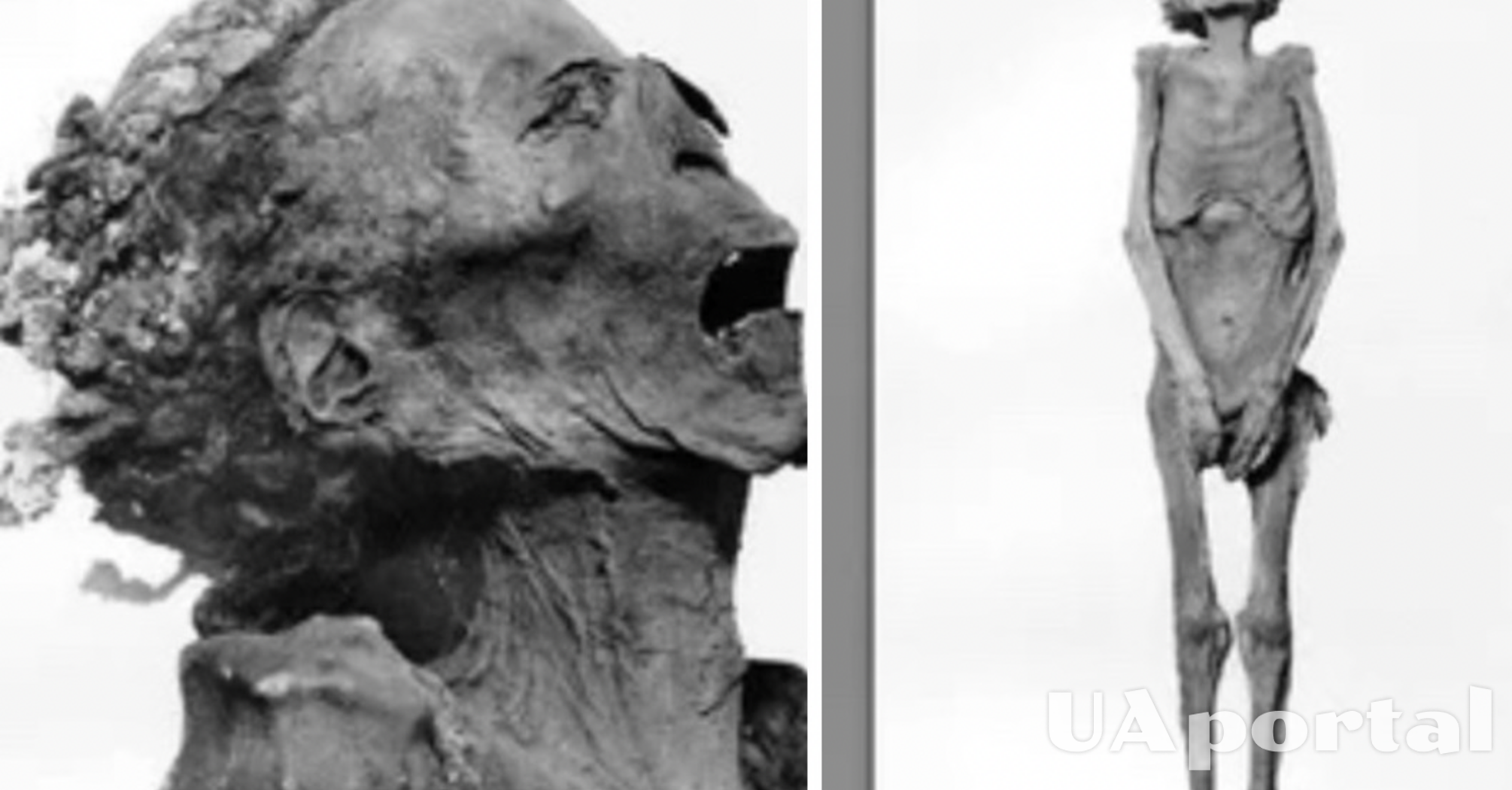 Ученые раскрыли поразительную тайну 'кричащей мумии' (фото)