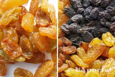 Calms the nervous system and increases hemoglobin: why you should eat raisins regularly