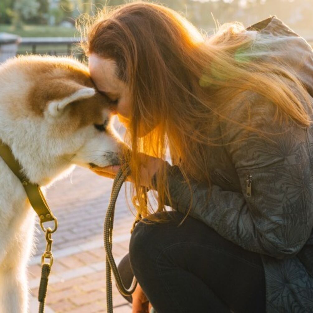 Источник безусловной любви и преданности: 7 пород самых ласковых собак