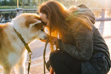A source of unconditional love and devotion: 7 breeds of the most affectionate dogs