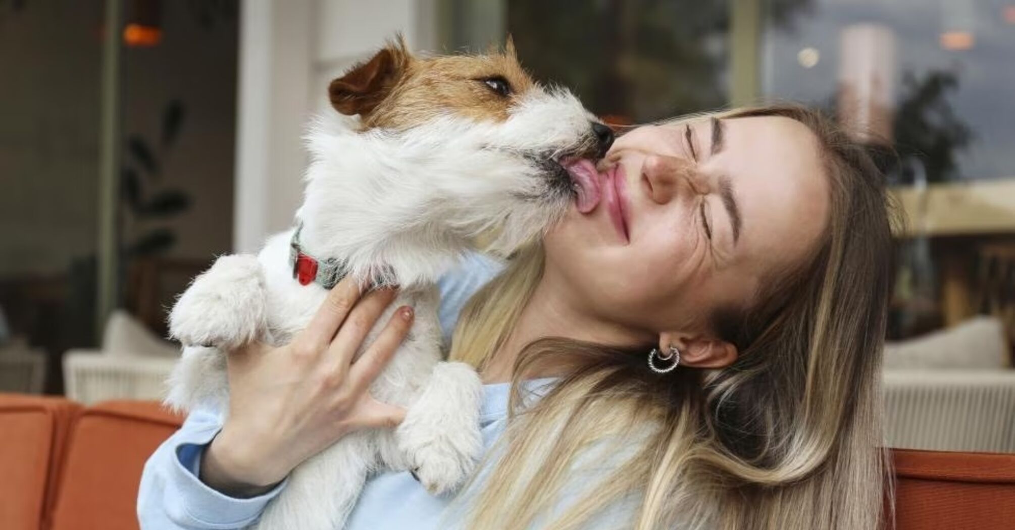 Науковці сказали, чи варто дозволяти собаці лизати ваше обличчя