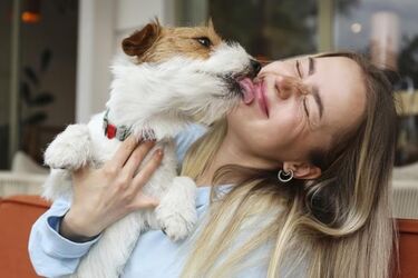 Ученые сказали, стоит ли позволять собаке лизать ваше лицо