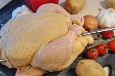 Never add to the broth: what parts of chicken can be dangerous to your health