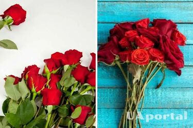 Как продлить жизнь розам, которые стали увядать: лайфхак с кипятком