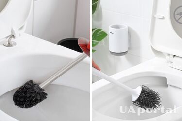 How often to change the toilet brush: you will be surprised