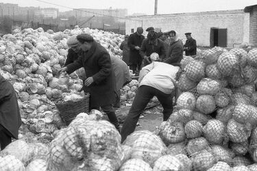 10 правдивых фактов о жизни в СССР: как был устроен быт